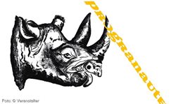 Logo DIE NASHÖRNER.