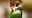 Logo Werner Momsen - Momsen, Tiere, Sensationen