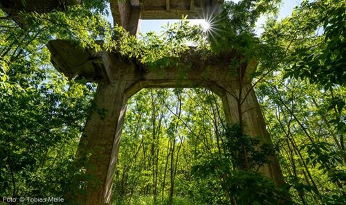 KulturPur 2020: Philharmonie Südwestfalen - Shades of Earth