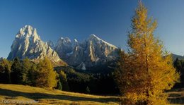 Logo 3D-Show Südtirol & Dolomiten