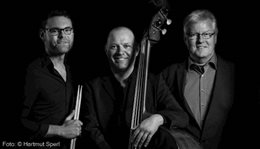 Logo Hartmut Sperl Trio