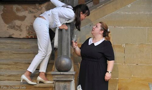 Falsche Schlange - Astrid Rashed, Mackie Heilmann