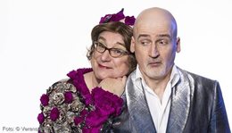 Logo Emmi & Willnowsky - Tour '27