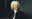 MCW Johann Sebastian Bach