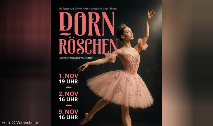 Lazy Logo Dornröschen