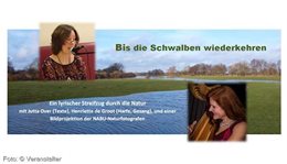 Logo Bis die Schwalben wiederkehren