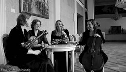 Logo Amalia-Quartetts