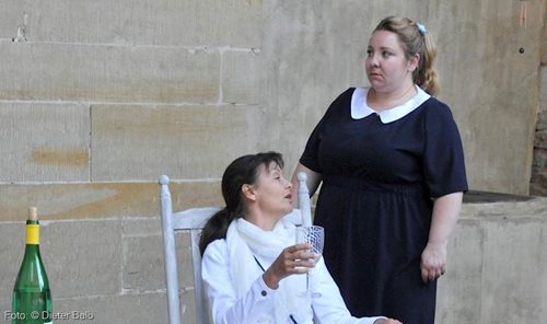 Falsche Schlange- Asrid Rashed, Mackie Heilmann