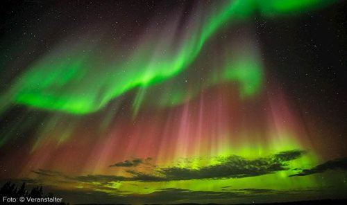 Nord-Licht - Lappland hautnah