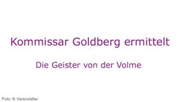 Logo Kommissar Goldberg ermittelt