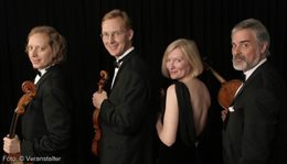 Logo American String Quartet