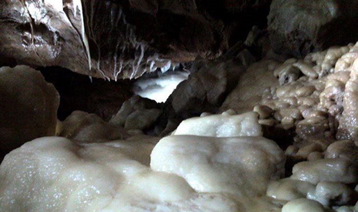 Logo Schauhöhle Herbstlabyrinth