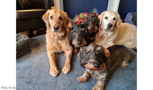 Sommer, Sonne, Sokrates