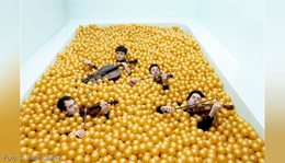 Logo vision string quartett